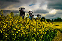 Des alternatives aux pesticides